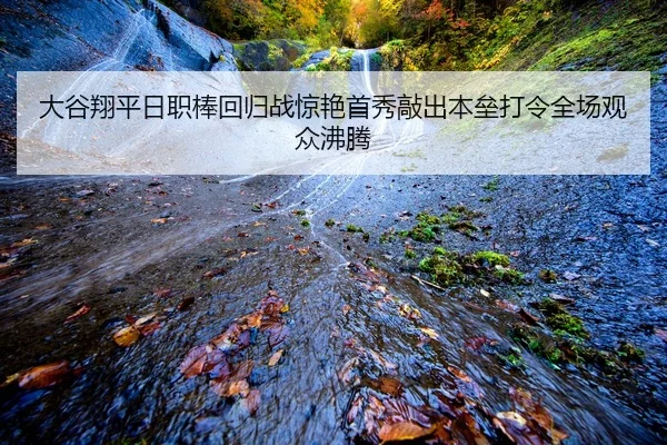 da-gu-xiang-ping-ri-zhi-bang-hui-gui-zhan-jing-yan-shou-xiu-qiao-chu-ben-lei-da-ling-quan-chang-guan-zhong-fei-teng-2-135.jpg